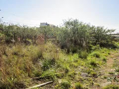 Terreno / Lote / Condomínio à venda, 341m² no Estância Velha, Canoas - Foto 3
