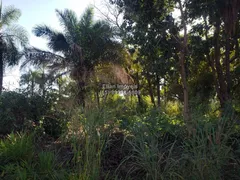 Terreno / Lote / Condomínio à venda no Zona Rural, Santo Antônio do Leverger - Foto 2