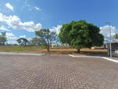 Terreno / Lote / Condomínio à venda, 2500m² no Park Way , Brasília - Foto 6