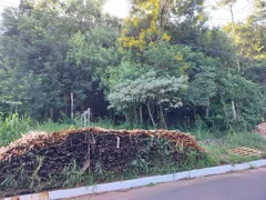 Terreno / Lote / Condomínio à venda, 1400m² no Rondônia, Novo Hamburgo - Foto 9