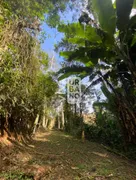 Fazenda / Sítio / Chácara com 2 Quartos à venda, 48400m² no Arrozal, Piraí - Foto 2