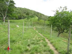 Fazenda / Sítio / Chácara com 4 Quartos à venda, 183000m² no Zona Rural, Rio Bonito - Foto 46