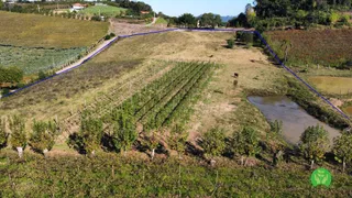 Fazenda / Sítio / Chácara à venda, 35000m² no Zona Rural, Santa Tereza - Foto 4