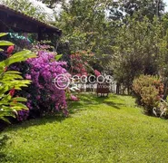 Fazenda / Sítio / Chácara com 4 Quartos à venda, 10000m² no Zona Rural, Uberlândia - Foto 16