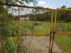 Terreno / Lote / Condomínio à venda, 12000m² no Jardim Nova Limeira, Limeira - Foto 4