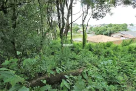 Terreno / Lote / Condomínio à venda, 400m² no Roseira de São Sebastião, São José dos Pinhais - Foto 7