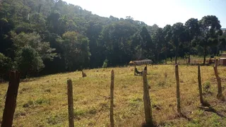 Fazenda / Sítio / Chácara à venda, 193600m² no Centro, São Miguel Arcanjo - Foto 14