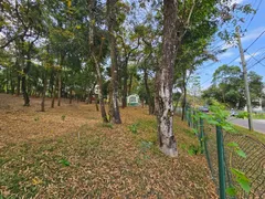 Terreno / Lote / Condomínio à venda, 5000m² no Estancia Das Amendoeiras, Lagoa Santa - Foto 4