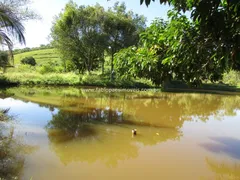 Fazenda / Sítio / Chácara com 2 Quartos à venda, 45000m² no Maraporã, Cachoeiras de Macacu - Foto 12