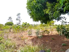 Fazenda / Sítio / Chácara com 4 Quartos à venda, 75000m² no Zona Rural, Bonfinópolis - Foto 60