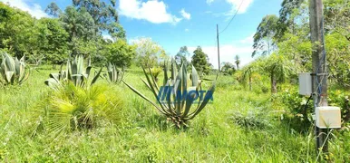 Fazenda / Sítio / Chácara com 3 Quartos à venda, 150m² no Lagoinha, Tijucas do Sul - Foto 29