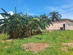 Fazenda / Sítio / Chácara com 4 Quartos à venda, 443m² no Nossa Senhora da Paz, São Joaquim de Bicas - Foto 59