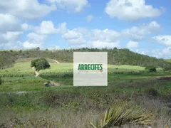 Terreno / Lote / Condomínio à venda, 1420000m² no Centro, Goiana - Foto 2