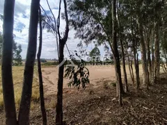 Fazenda / Sítio / Chácara com 20 Quartos para alugar, 1200m² no Cajuru, Cajuru - Foto 7