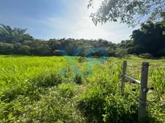 Fazenda / Sítio / Chácara com 3 Quartos à venda, 230m² no Zona Rural, São Sebastião do Oeste - Foto 62