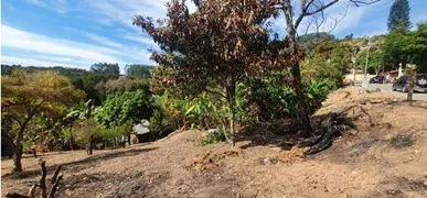 Terreno / Lote / Condomínio à venda no Parque Mirante de Parnaiba, Santana de Parnaíba - Foto 1