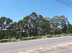 Terreno / Lote Comercial à venda no Avenida Central, Gramado - Foto 1