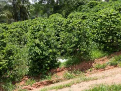 Fazenda / Sítio / Chácara com 4 Quartos à venda, 1350000m² no Zona Rural, Botelhos - Foto 19