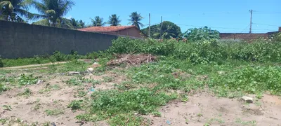 Terreno / Lote / Condomínio à venda, 200m² no Zona Rural, Nísia Floresta - Foto 5