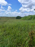 Fazenda / Sítio / Chácara com 2 Quartos à venda, 2000m² no , Monte Alegre - Foto 11