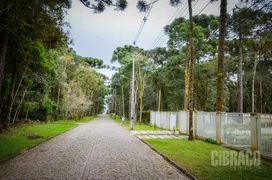 Terreno / Lote / Condomínio à venda, 3003m² no Jardim Primavera, Piraquara - Foto 17