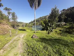 Fazenda / Sítio / Chácara com 3 Quartos à venda, 19000m² no Centro, Juquitiba - Foto 31