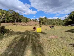 Fazenda / Sítio / Chácara com 3 Quartos à venda, 5200m² no São Pedro, Juiz de Fora - Foto 38