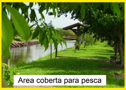 Fazenda / Sítio / Chácara com 6 Quartos à venda, 163200m² no Zona Rural, Conchal - Foto 24