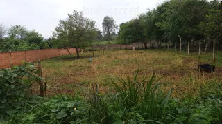 Fazenda / Sítio / Chácara com 3 Quartos à venda, 1540m² no Zona Rural, Jataizinho - Foto 23