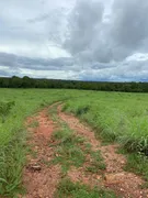 Fazenda / Sítio / Chácara à venda no Zona Rural, São Valério da Natividade - Foto 9