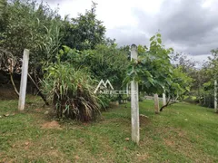 Fazenda / Sítio / Chácara com 4 Quartos à venda, 210m² no Brilhante I, Itajaí - Foto 22