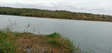 Fazenda / Sítio / Chácara com 3 Quartos à venda, 5000m² no Zona Rural, Corumbá de Goiás - Foto 15