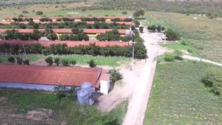 Fazenda / Sítio / Chácara com 3 Quartos à venda, 8m² no , Pocinhos - Foto 14