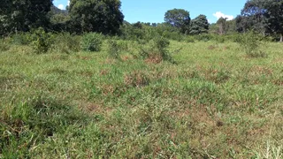 Fazenda / Sítio / Chácara à venda no Zona Rural, Montividiu do Norte - Foto 13