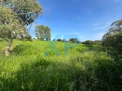 Fazenda / Sítio / Chácara com 3 Quartos à venda, 230m² no Zona Rural, São Sebastião do Oeste - Foto 67