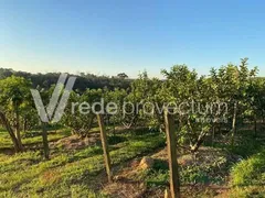 Fazenda / Sítio / Chácara com 3 Quartos à venda, 250m² no Reforma Agraria, Valinhos - Foto 14