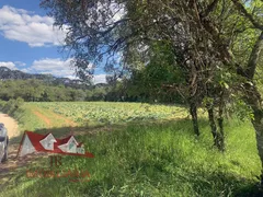Fazenda / Sítio / Chácara com 1 Quarto à venda, 119000m² no Tietê, Araucária - Foto 13