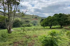 Fazenda / Sítio / Chácara com 2 Quartos à venda, 150000m² no Salvaterra, Juiz de Fora - Foto 17