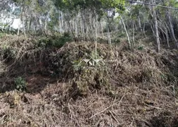 Terreno / Lote / Condomínio à venda, 1500m² no Itaipava, Petrópolis - Foto 1