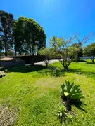 Fazenda / Sítio / Chácara com 6 Quartos à venda, 4000m² no Pavão-Canguera, São Roque - Foto 19