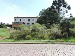 Terreno / Lote / Condomínio à venda, 1185m² no São Leopoldo, Caxias do Sul - Foto 1