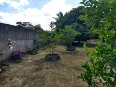 Fazenda / Sítio / Chácara com 4 Quartos à venda, 3000m² no , Itapissuma - Foto 18