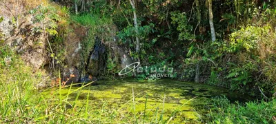 Fazenda / Sítio / Chácara com 4 Quartos à venda, 191000m² no Itapeti, Guararema - Foto 65