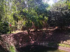 Fazenda / Sítio / Chácara com 3 Quartos à venda, 24200m² no Recreio Floresta, Jaguariúna - Foto 8