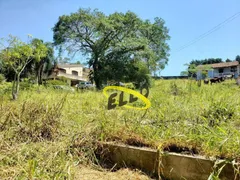 Terreno / Lote / Condomínio à venda, 5000m² no Chacara Recanto Verde, Cotia - Foto 13