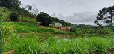 Fazenda / Sítio / Chácara à venda, 20000m² no Zona Rural, Santa Tereza - Foto 16