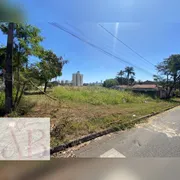 Terreno / Lote / Condomínio à venda, 419m² no Chácaras Alto da Glória, Goiânia - Foto 3