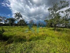 Fazenda / Sítio / Chácara com 3 Quartos à venda, 300m² no Zona Rural, São Sebastião do Oeste - Foto 24