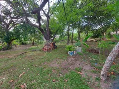 Fazenda / Sítio / Chácara com 4 Quartos à venda, 200m² no Zona Rural, São José de Mipibu - Foto 11