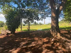 Fazenda / Sítio / Chácara à venda, 24m² no Area Rural de Araguari, Araguari - Foto 12